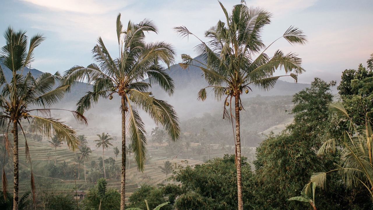 Photo of Outdoor in Ubud City-Centre