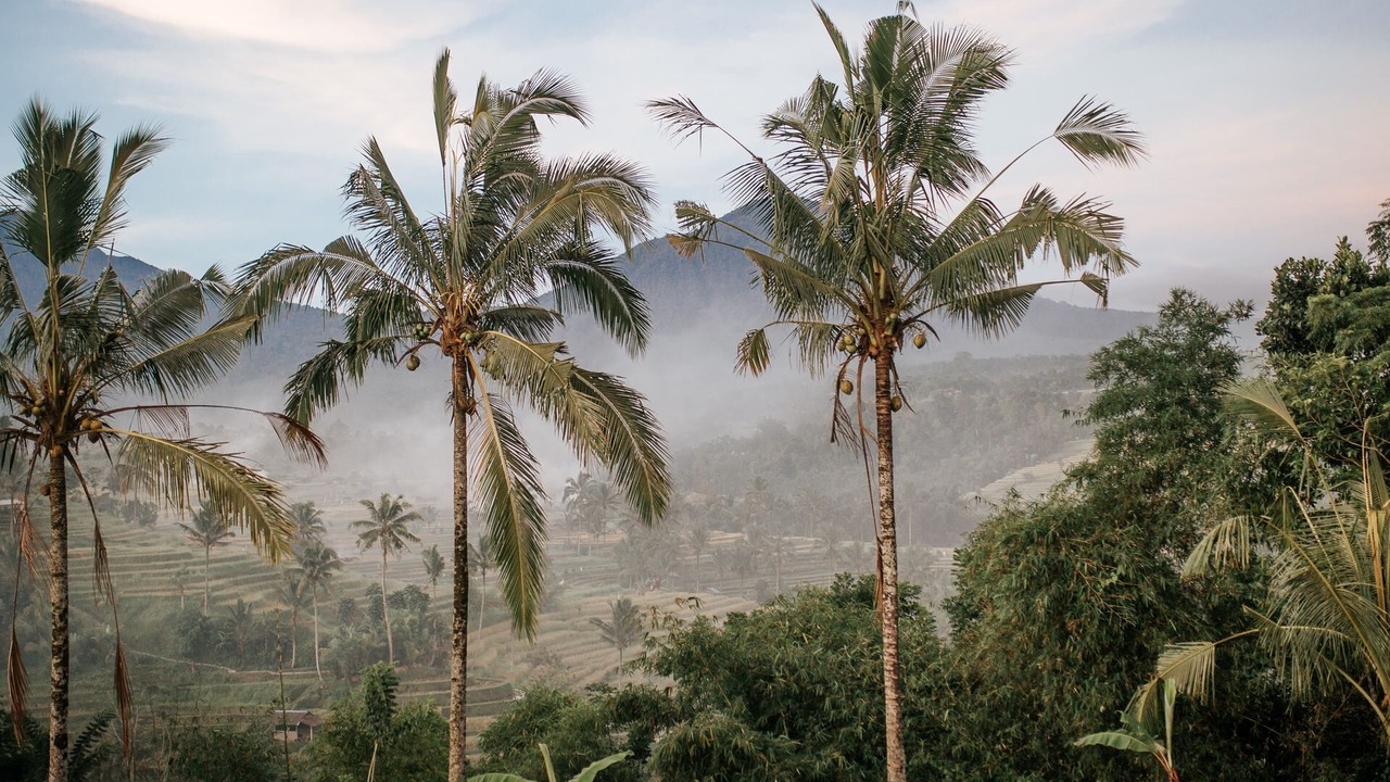 Photo of Outdoor in Munggu