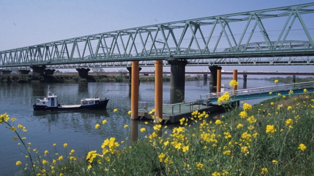 Photo of Others in Toride