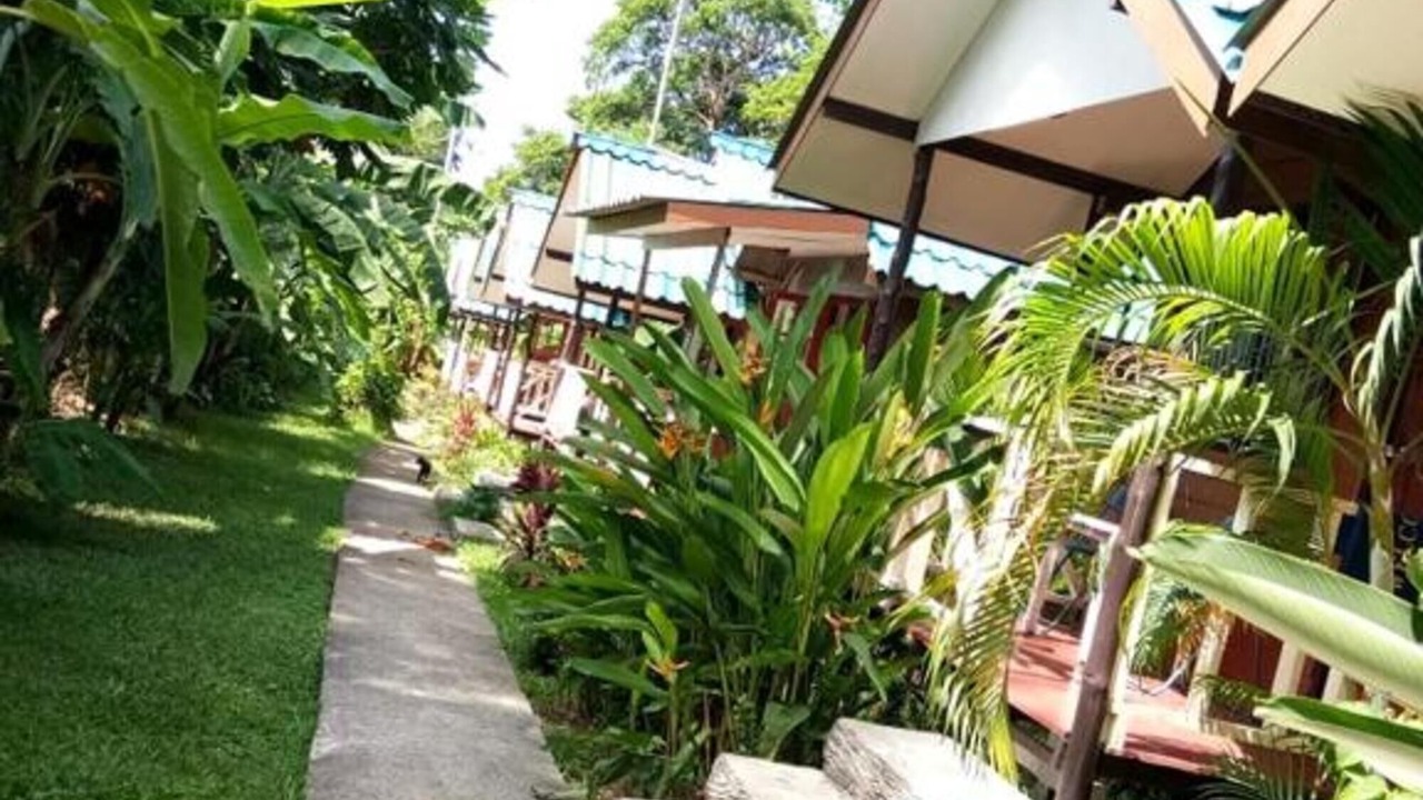 Photo of Outdoor in Bai Lan