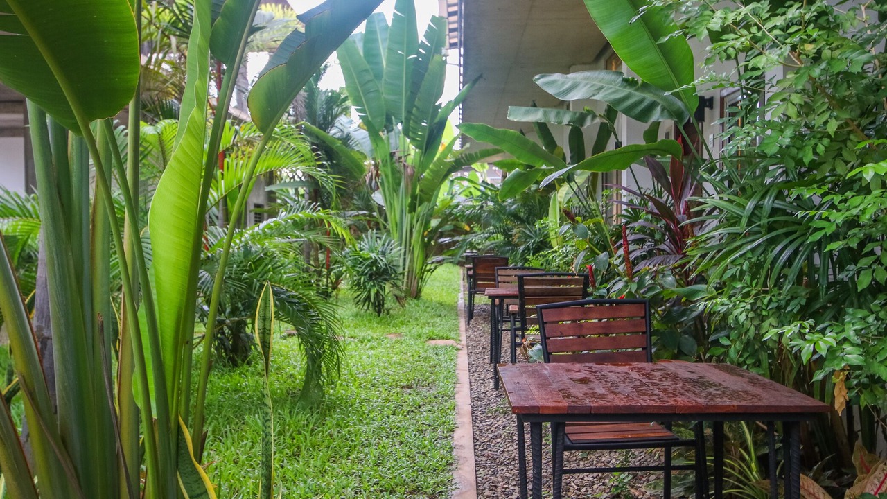 Photo of Outdoor in Siem Reap