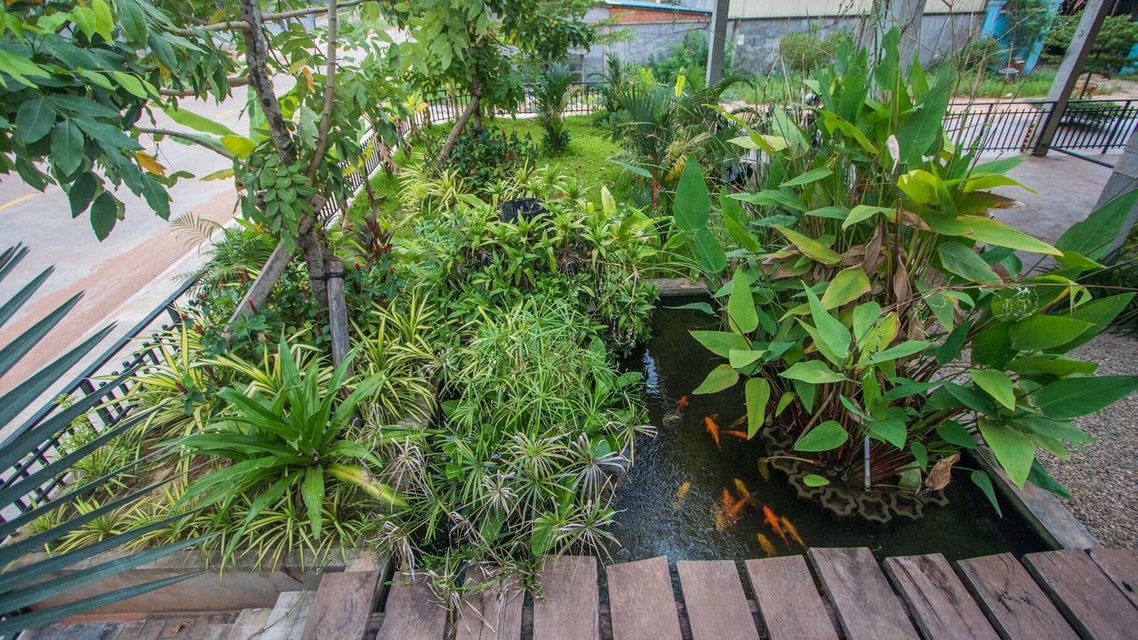 Photo of Outdoor in Siem Reap