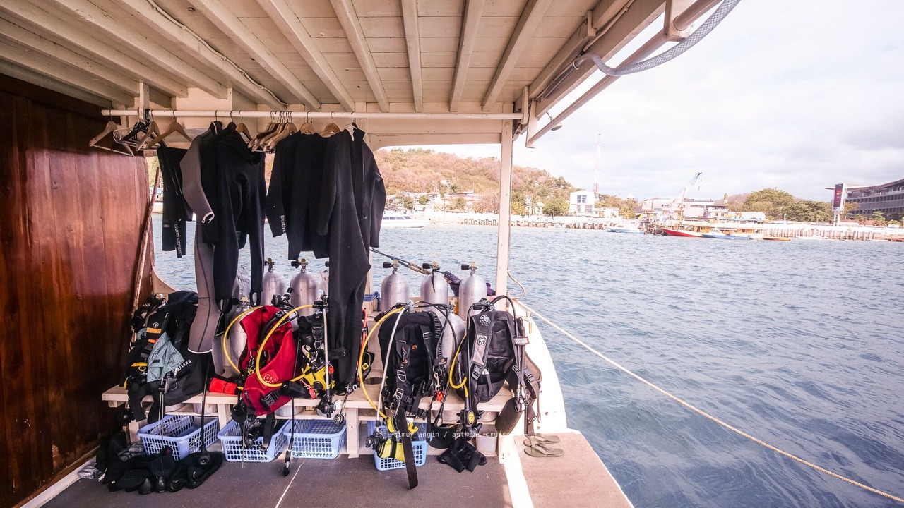 Photo of Others in Labuan Bajo