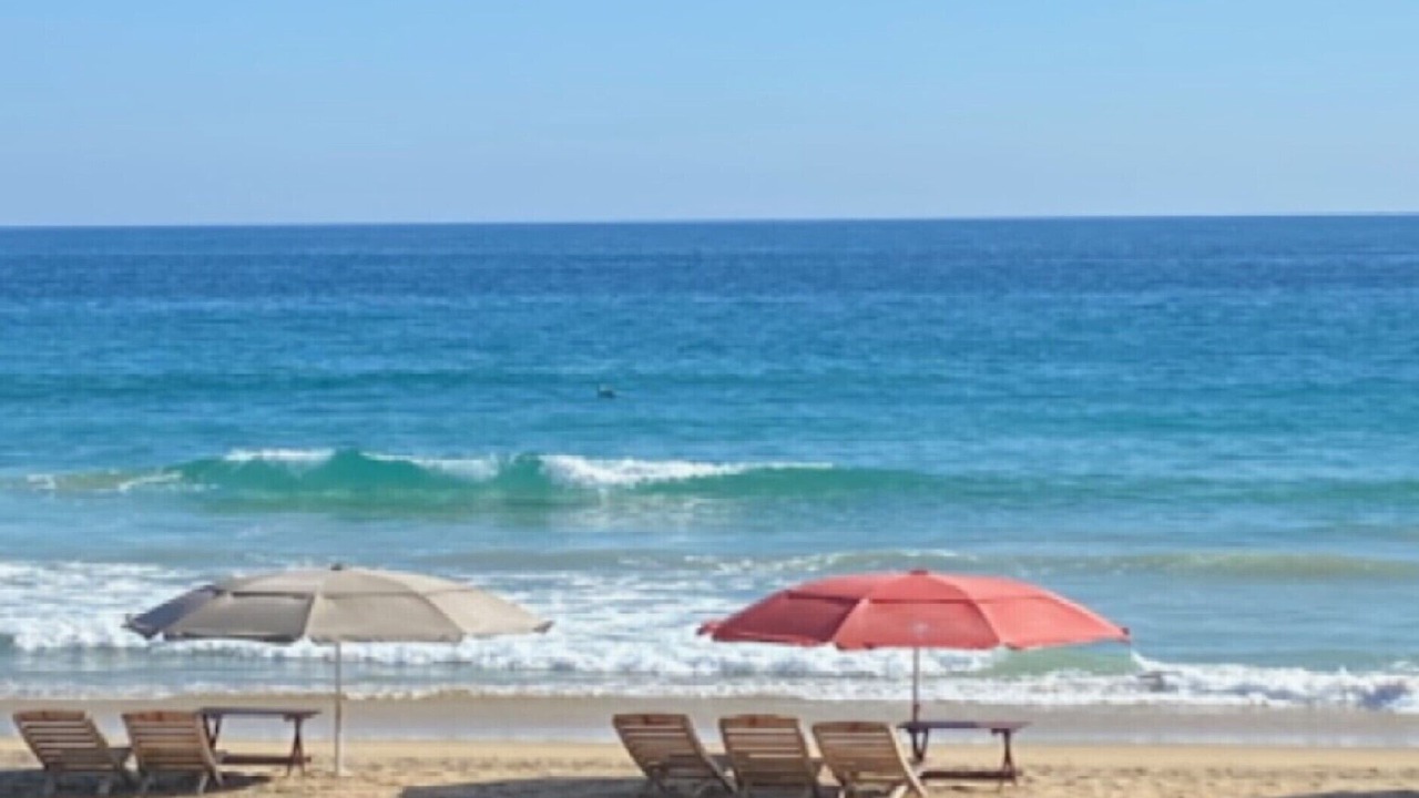 Photo of Others in San Agustinillo