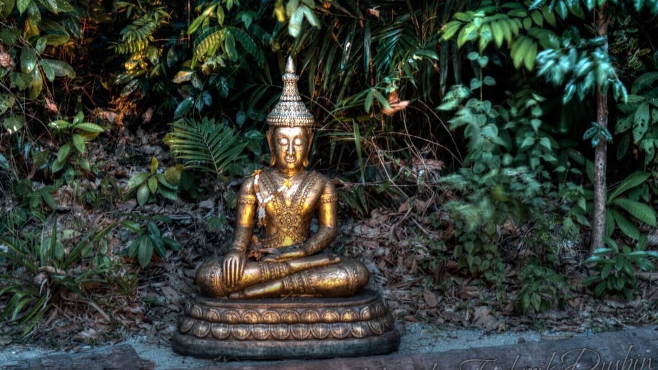 Photo of Others in Klong Son