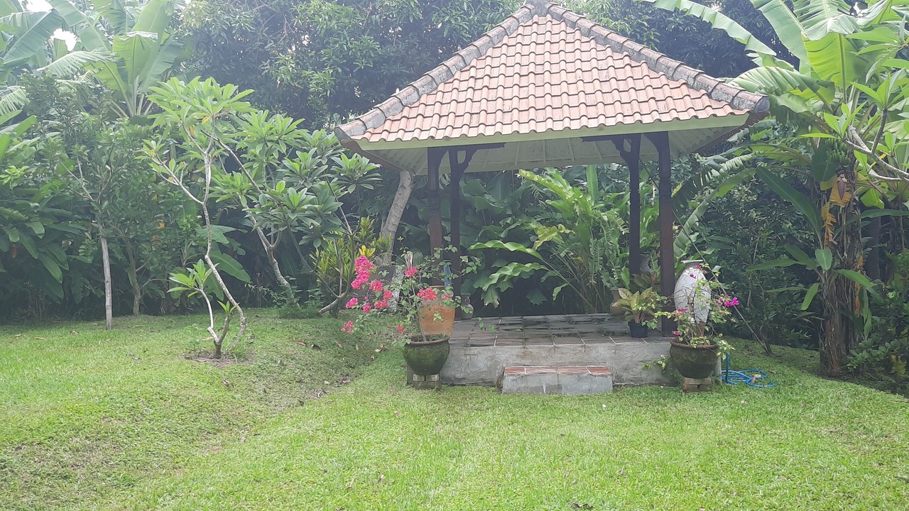 Photo of Outdoor in Dalung