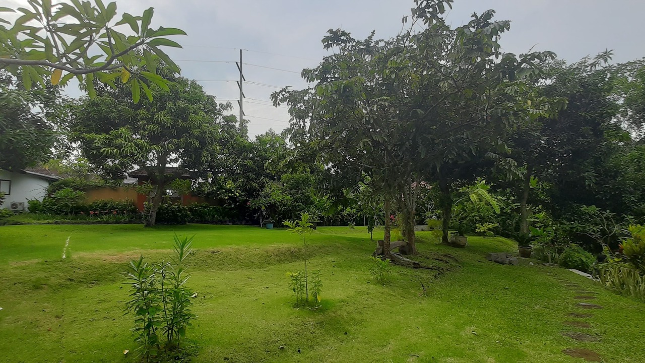 Photo of Outdoor in Dalung