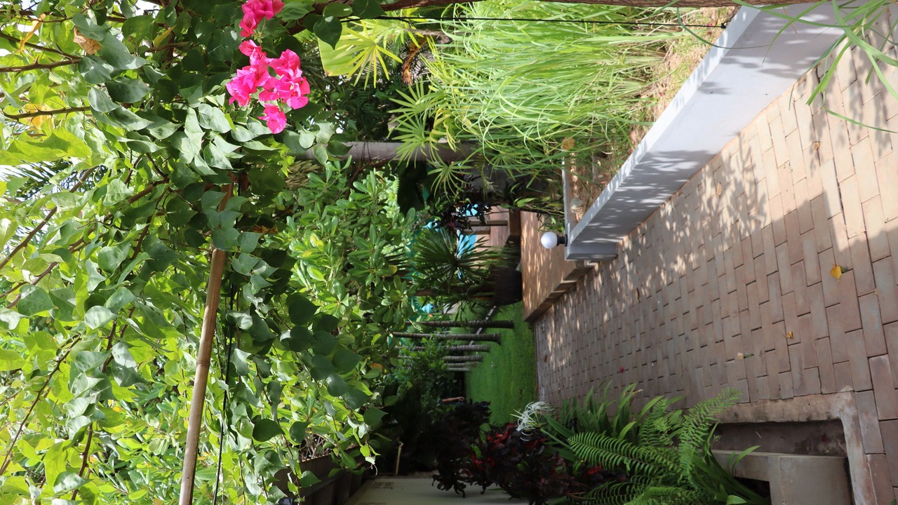 Photo of Outdoor in Siem Reap