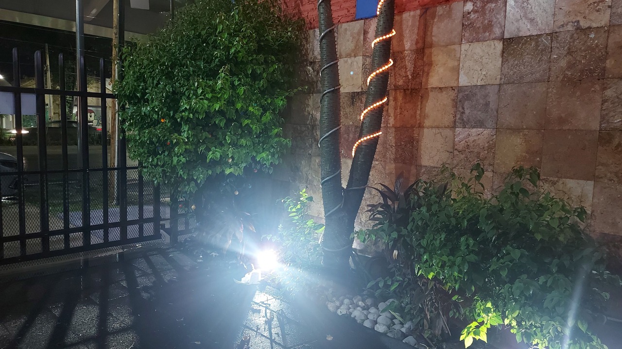 Photo of Outdoor in Guadalajara
