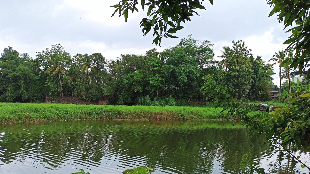 Photo of Outdoor in Nedumbassery