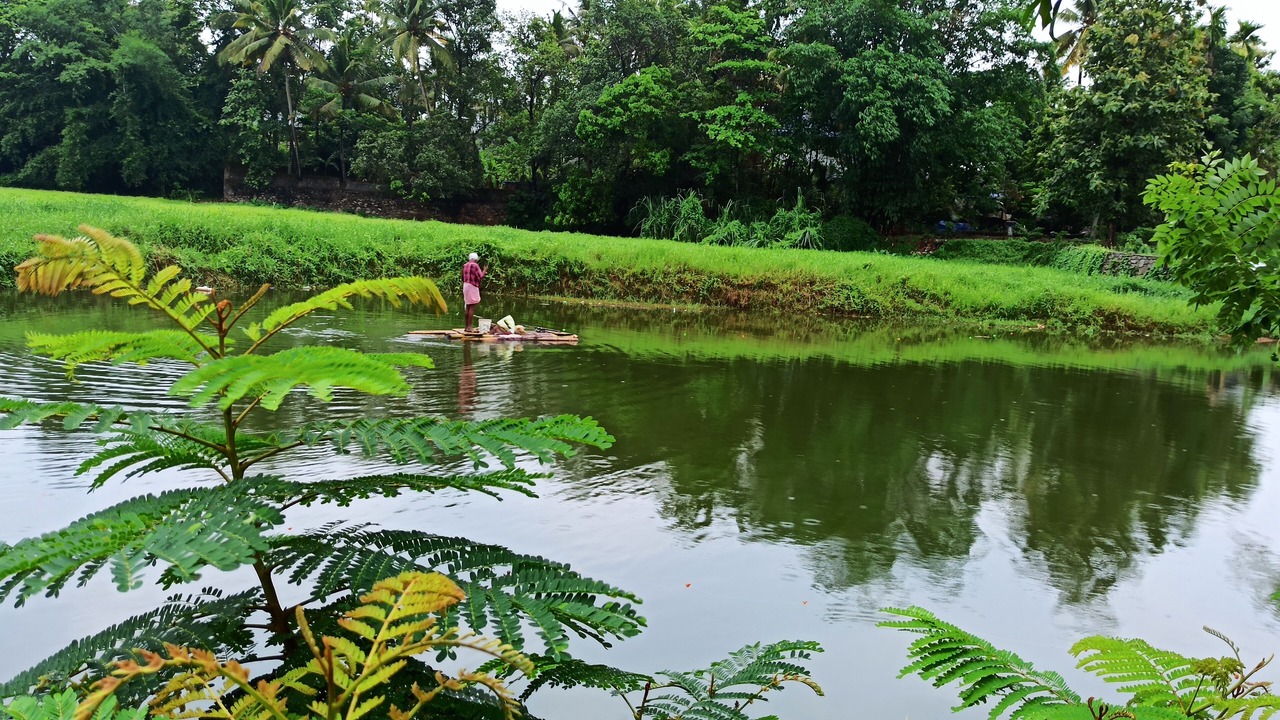 Photo of Outdoor in Nedumbassery