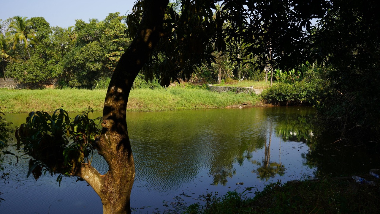 Photo of Outdoor in Nedumbassery