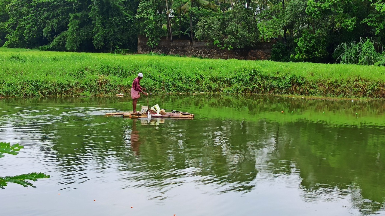 Photo of Others in Nedumbassery