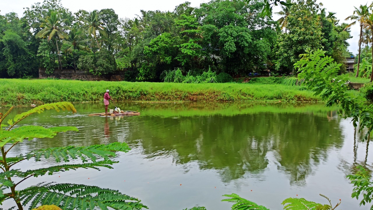 Photo of Outdoor in Nedumbassery