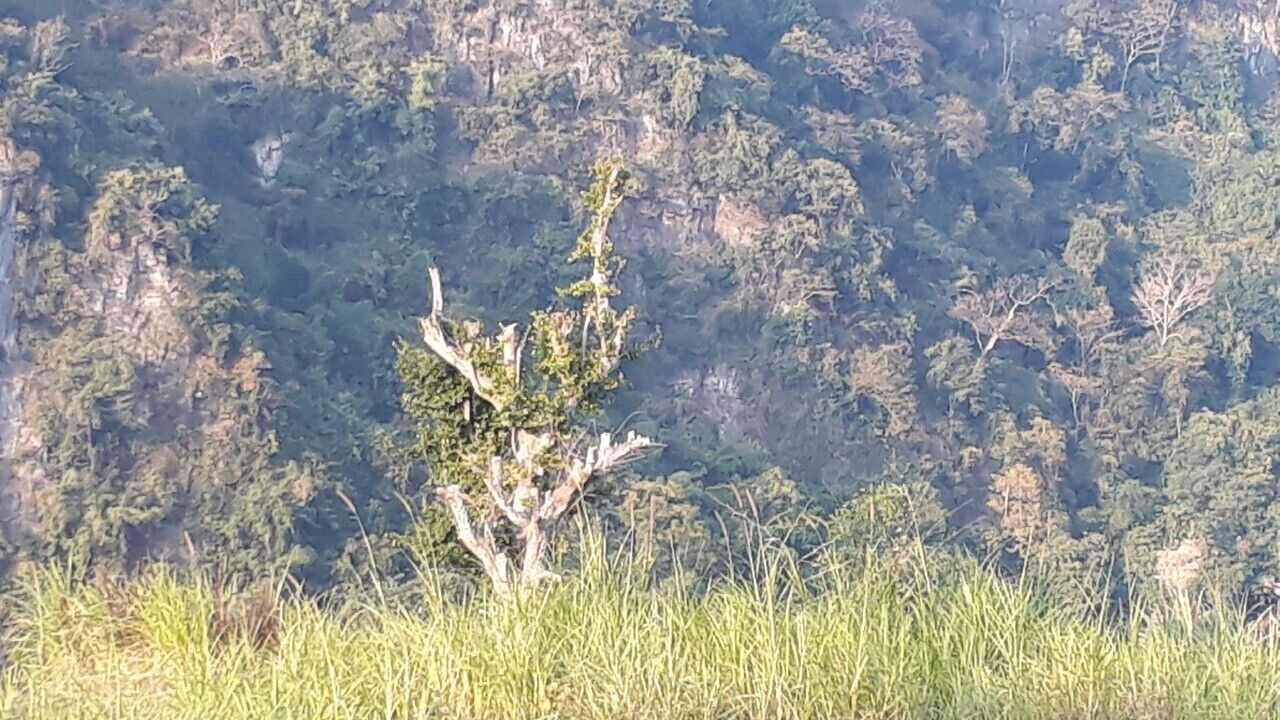 Photo of Outdoor in Kho Muong