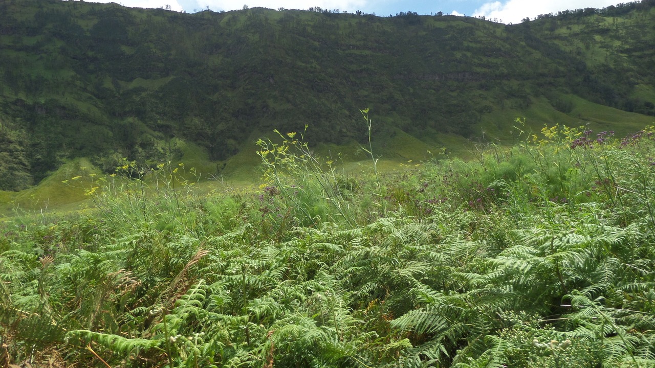 Photo of Outdoor in Tengger Caldera