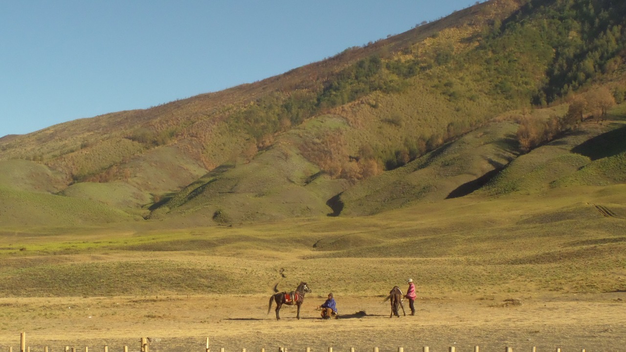 Photo of Others in Tengger Caldera