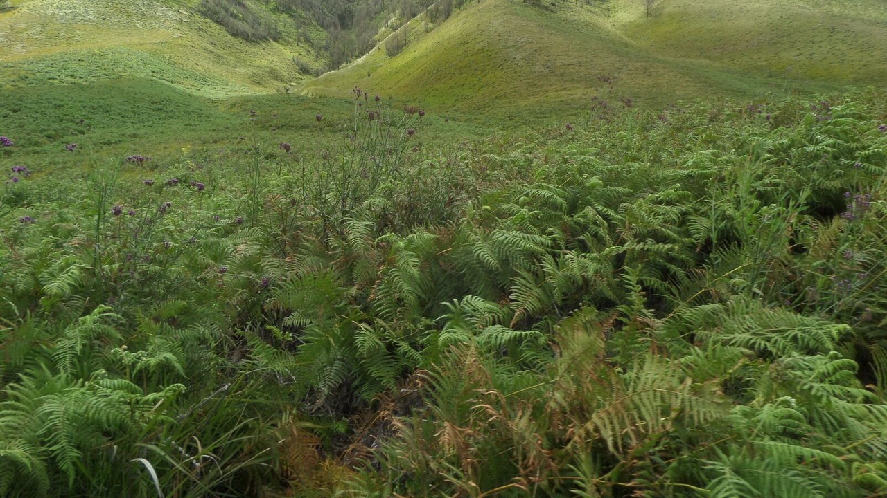 Photo of Outdoor in Sukapura