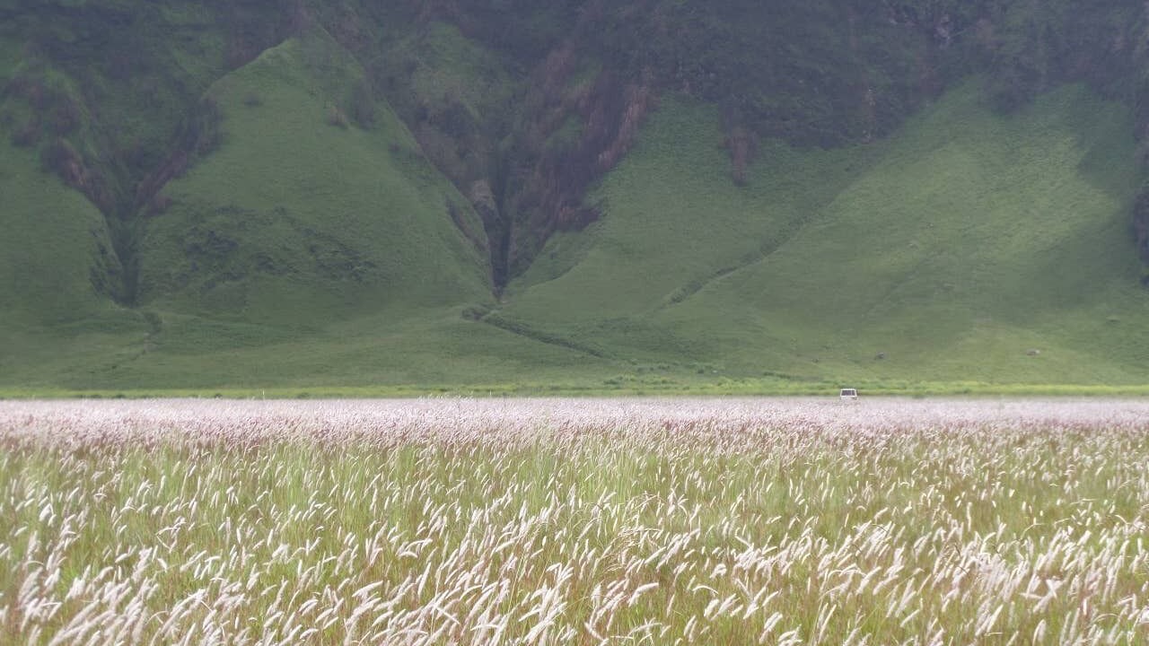 Photo of Others in Tengger Caldera
