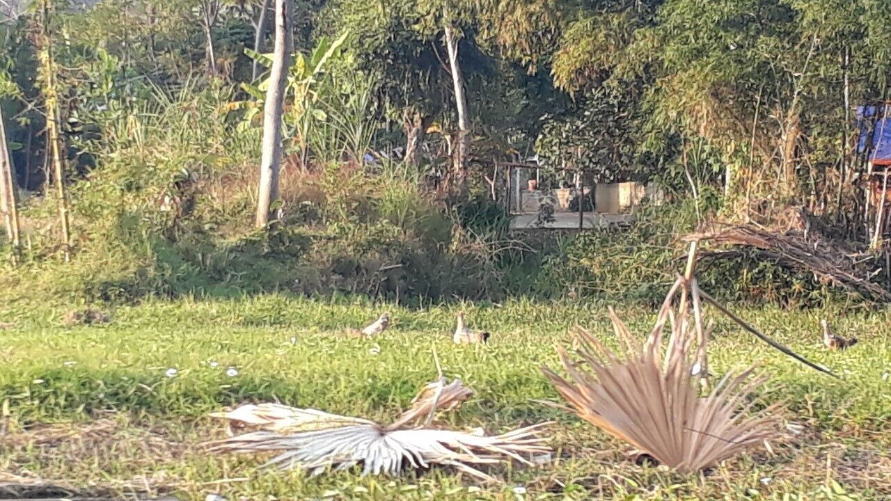 Photo of Outdoor in Kho Muong