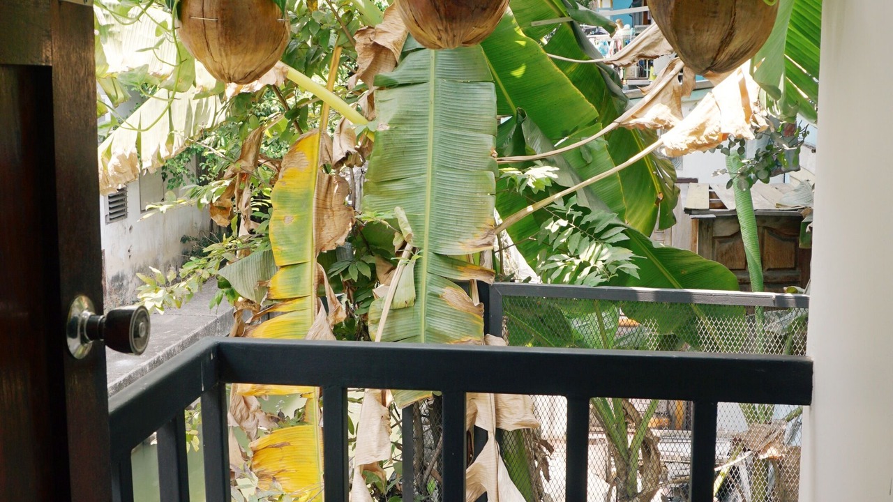 Photo of Outdoor in Samsen Nai