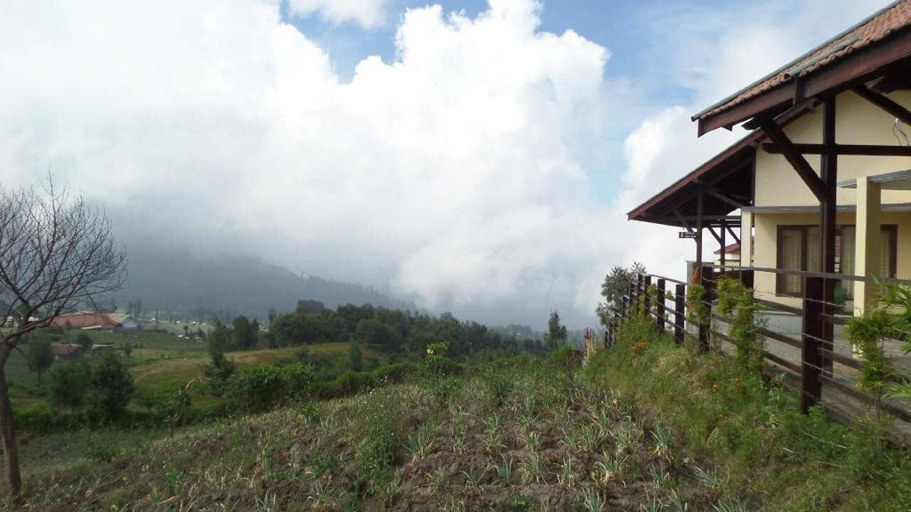 Photo of Outdoor in Klojen