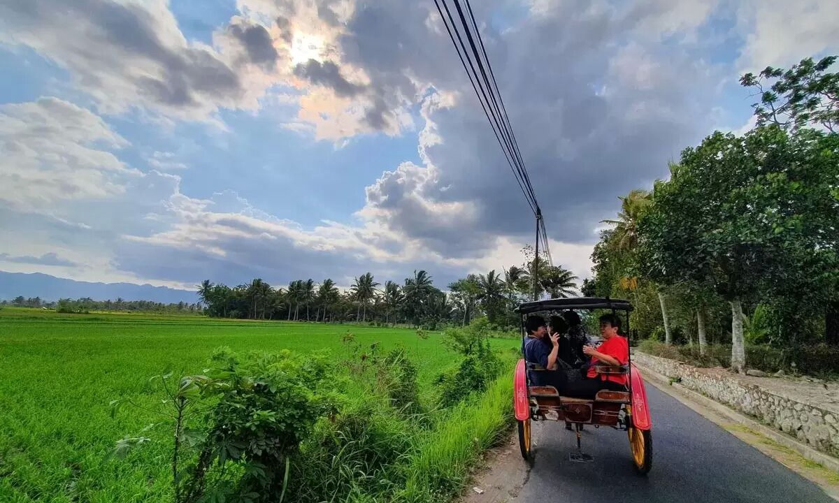 Photo of Others in Mungkid