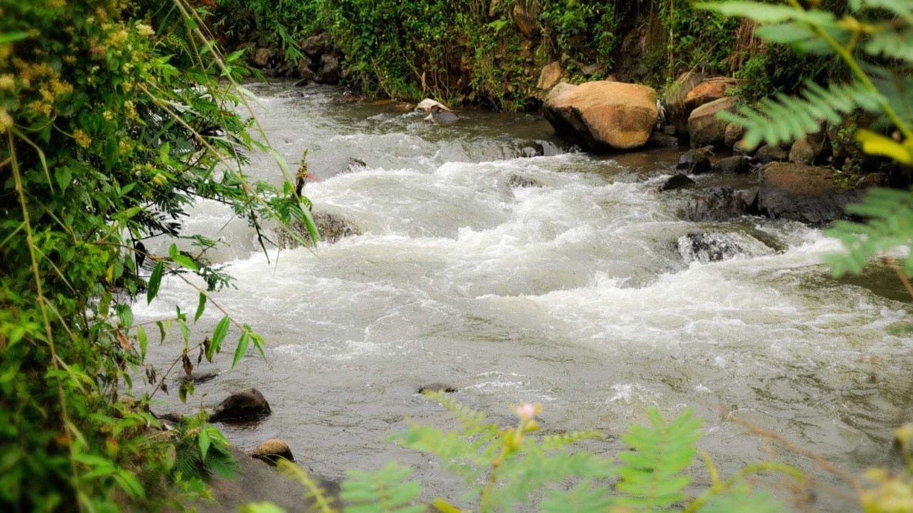 Photo of Outdoor in Cipanas