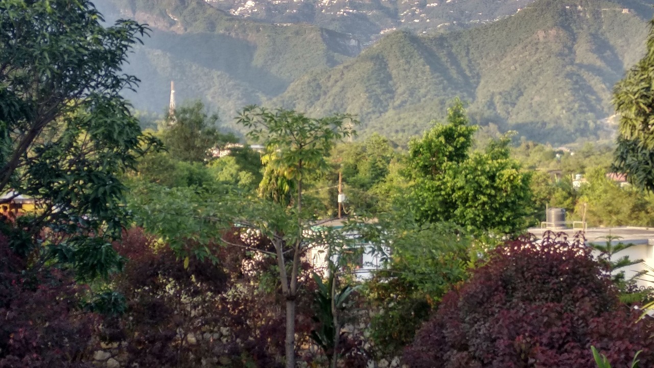 Photo of Outdoor in Bigha