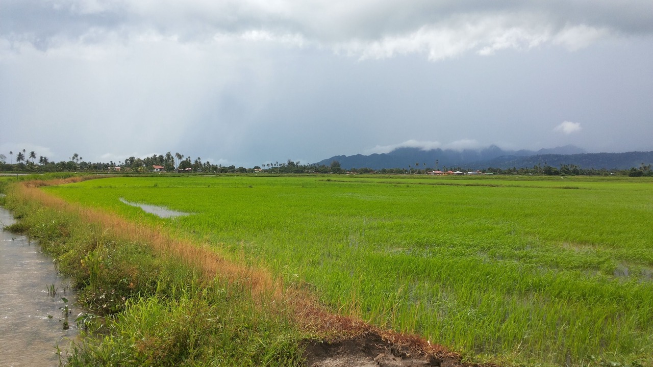 Photo of Others in Lubok Buaya