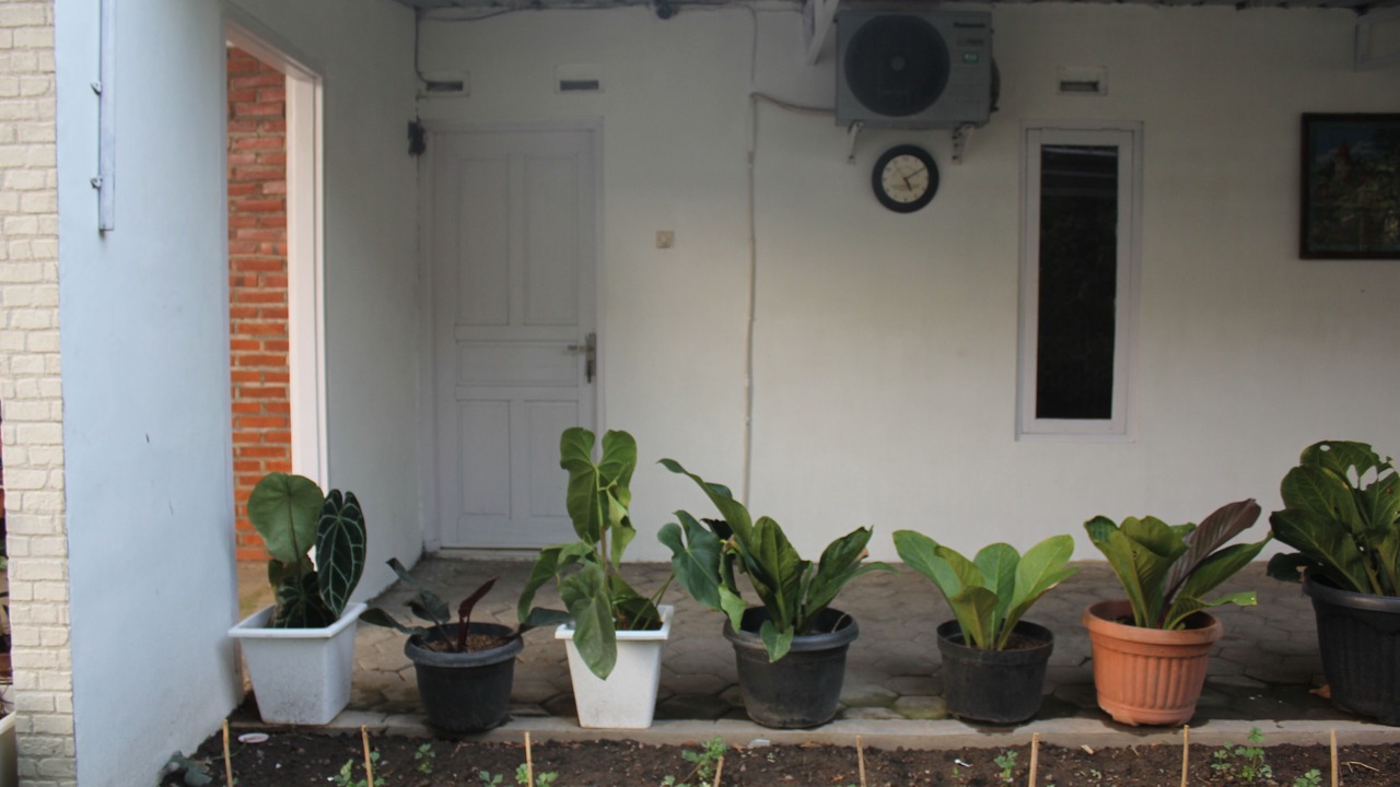 Photo of Outdoor in Kalasan