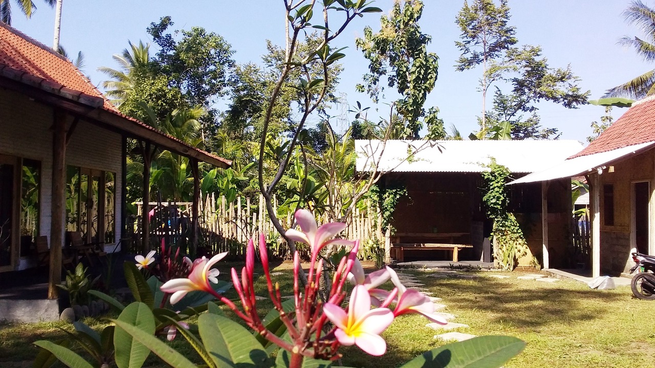 Photo of Outdoor in Medewi