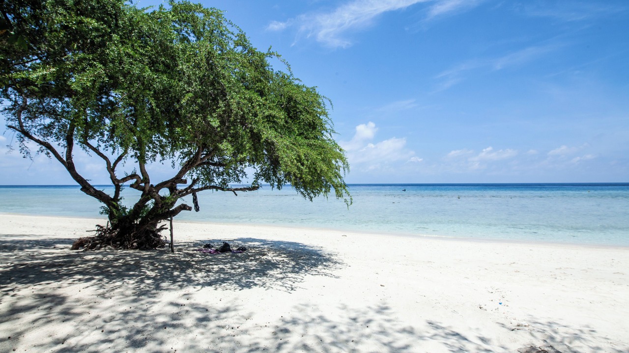Photo of Others in Gili Trawangan