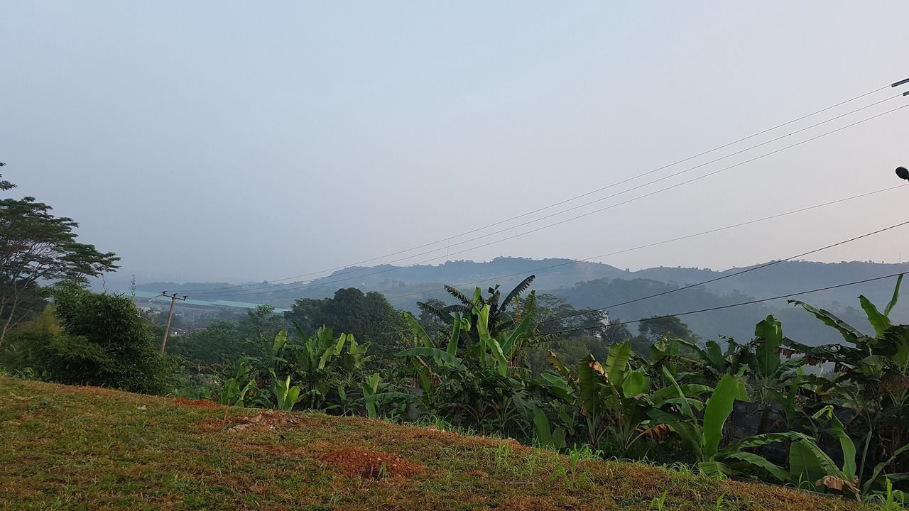 Photo of Outdoor in Sentul City