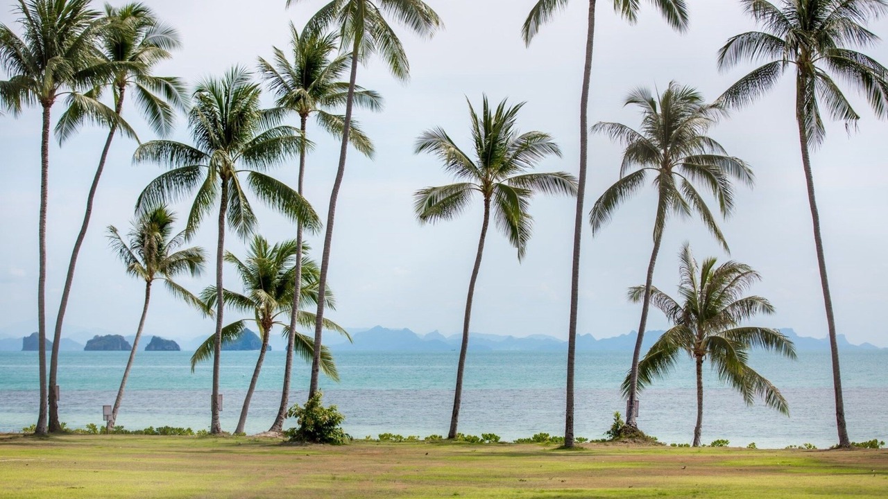 Photo of Others in Lipa Noi