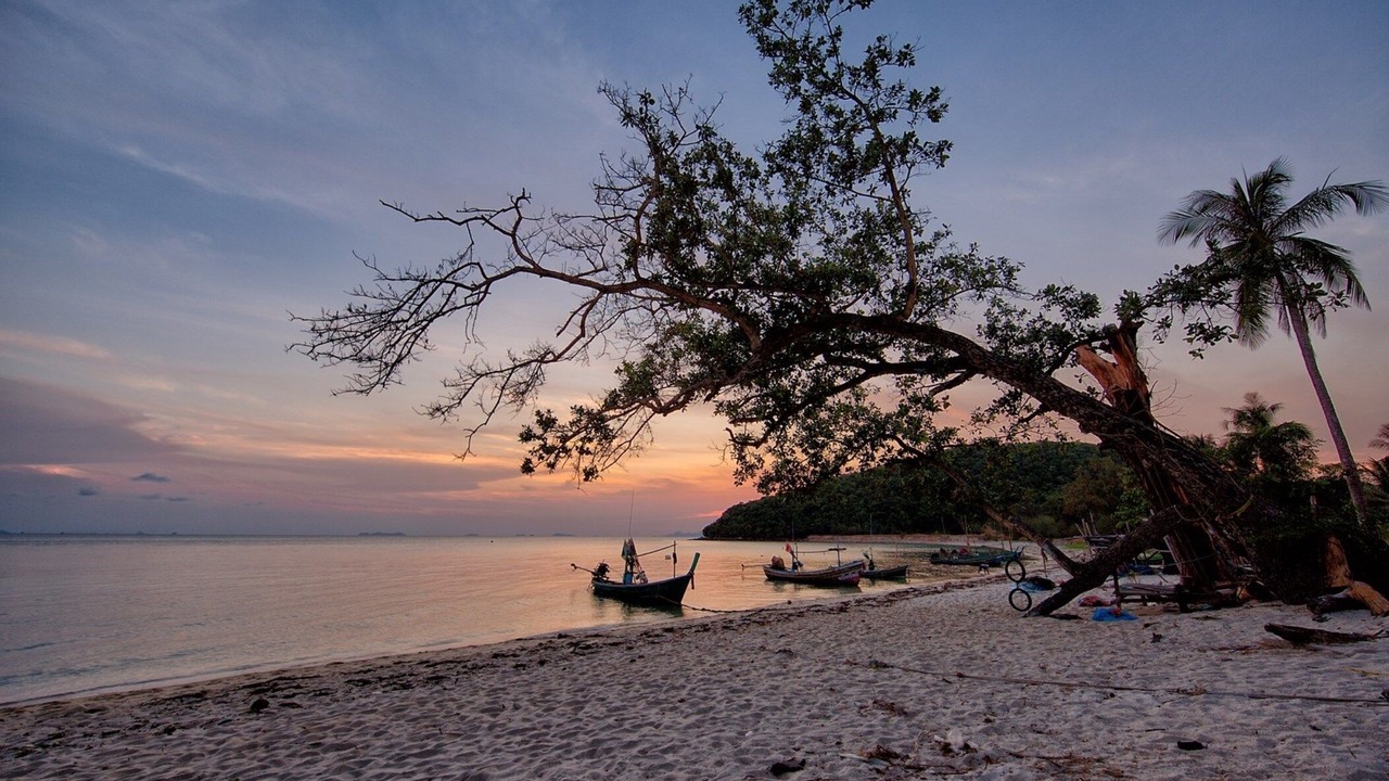 Photo of Others in Lipa Noi