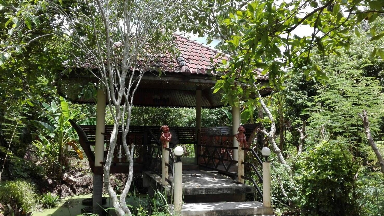 Photo of Outdoor in Suan Luang
