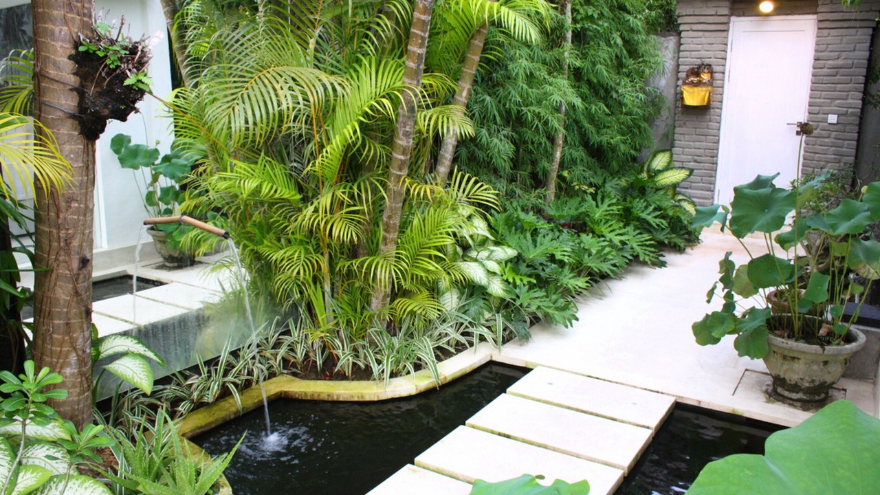 Photo of Outdoor in Drupadi