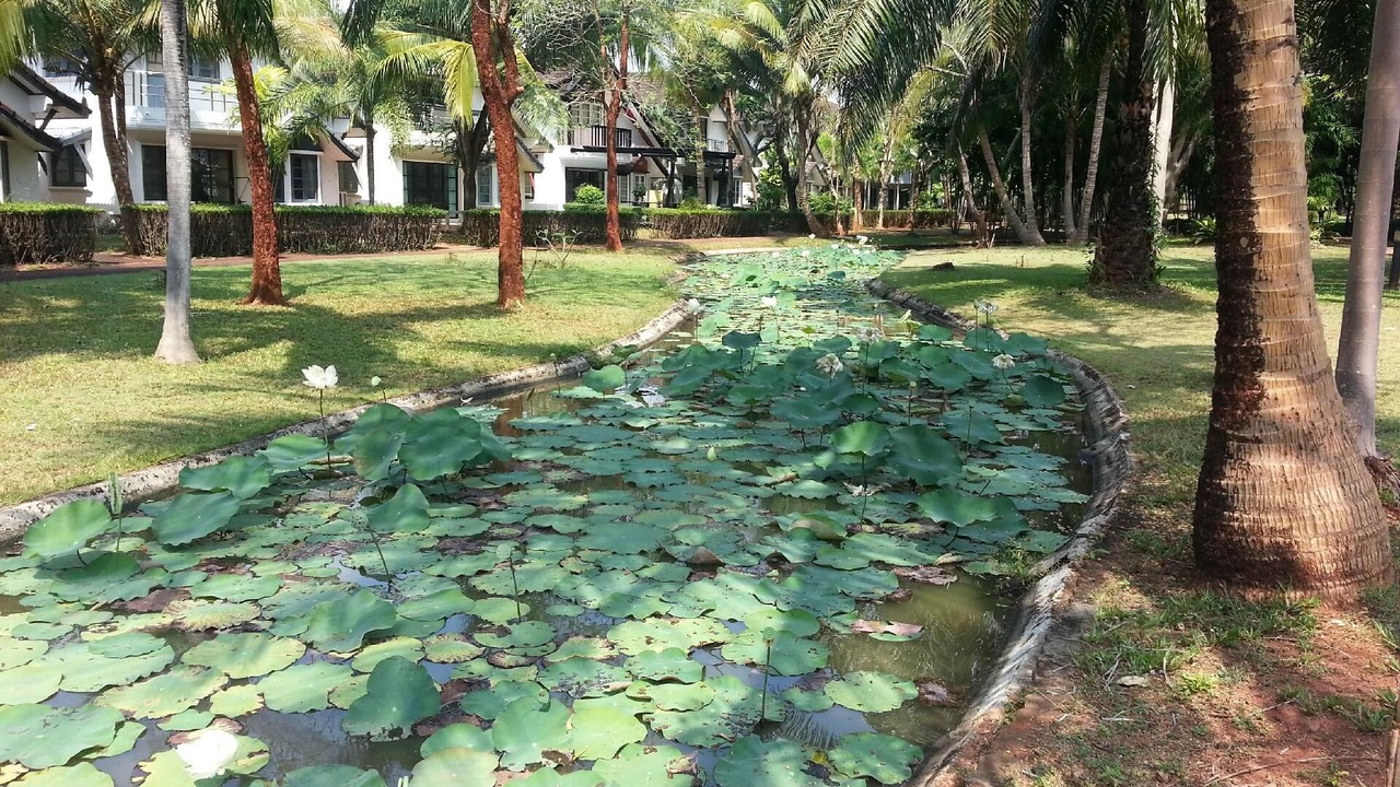 Photo of Outdoor in Map Ta Phut