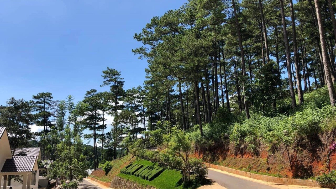 Photo of Outdoor in Da Lat