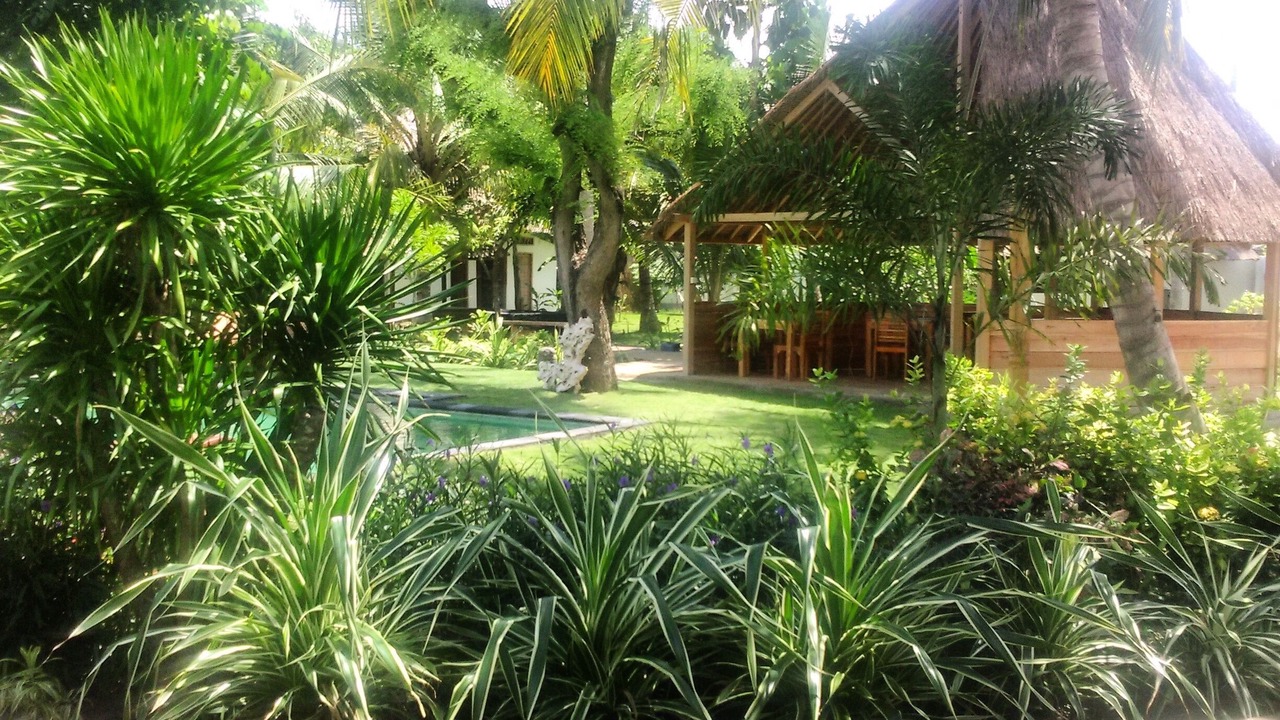 Photo of Outdoor in Selong Belanak
