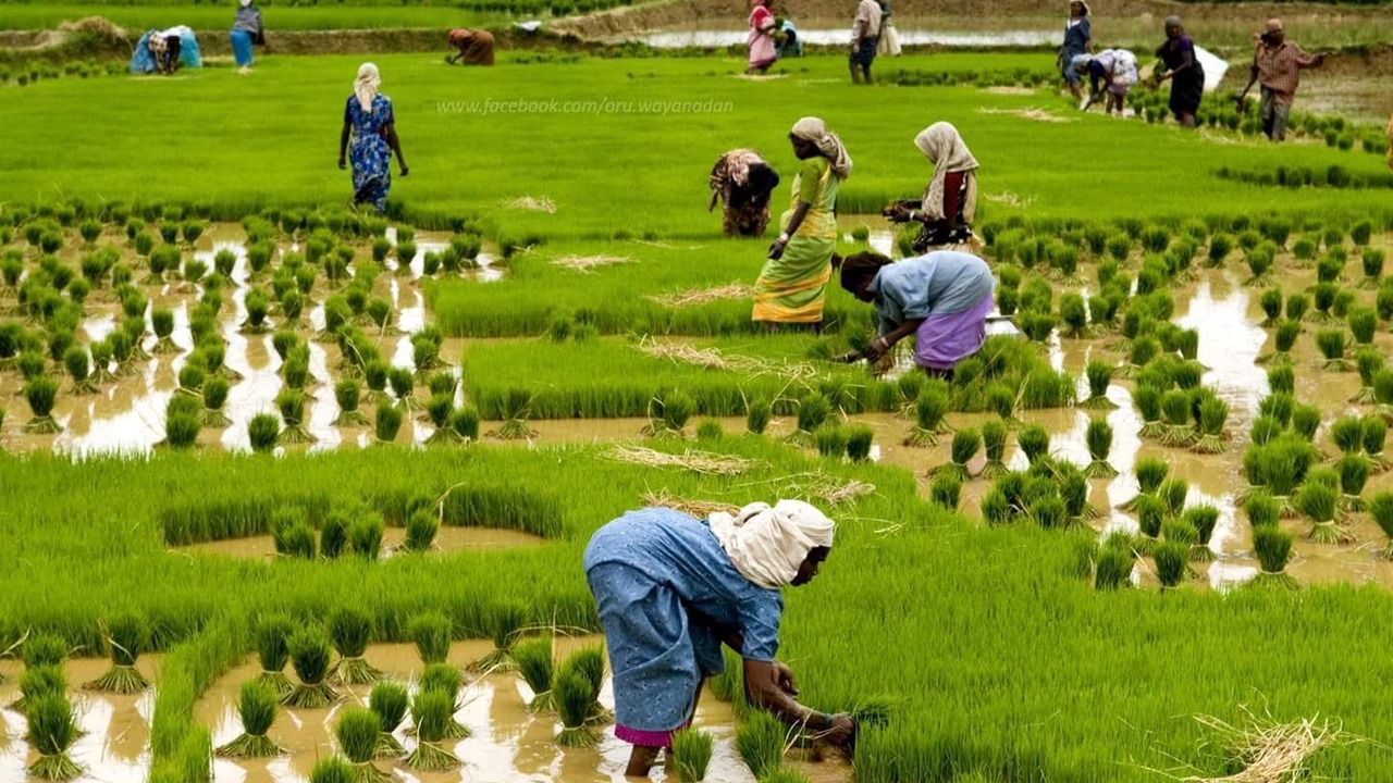 Photo of Others in Panamaram
