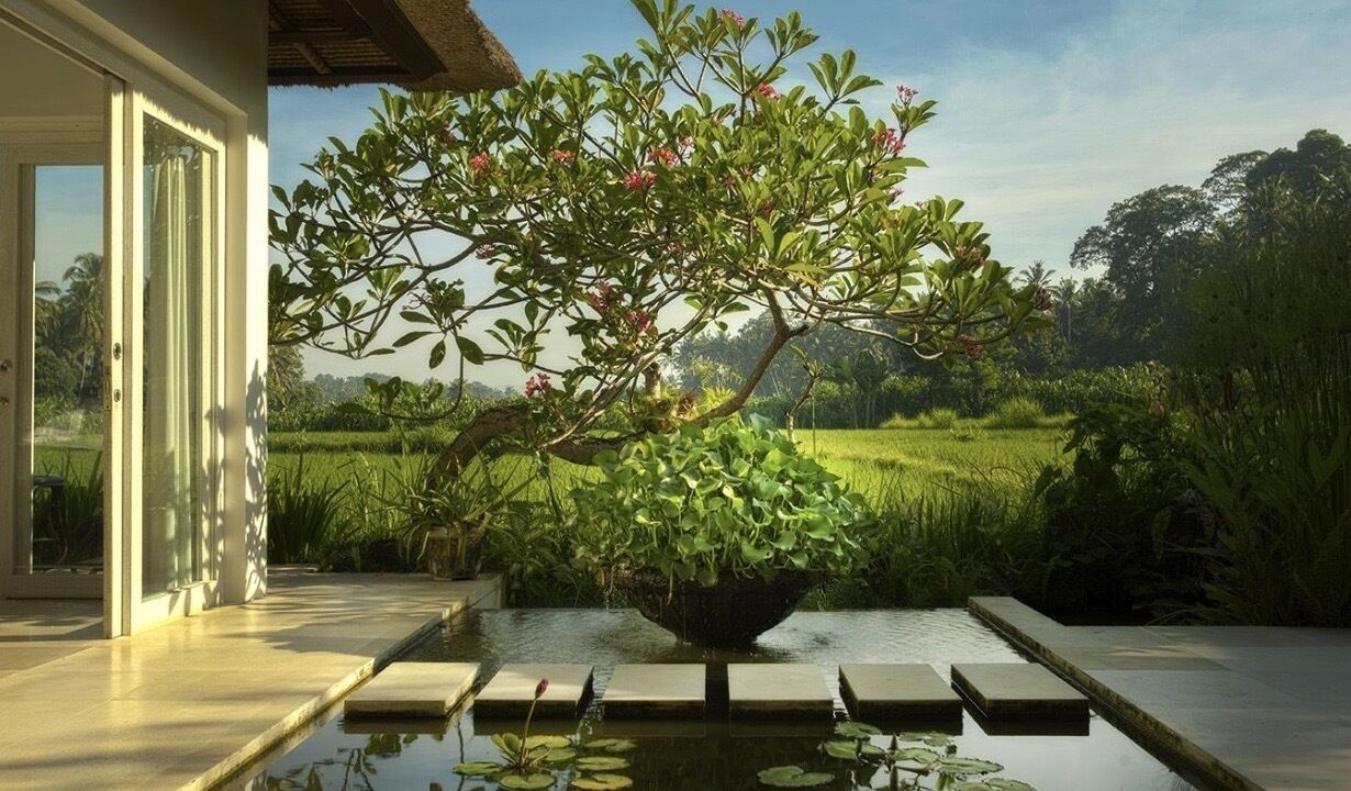Photo of Outdoor in Lodtunduh