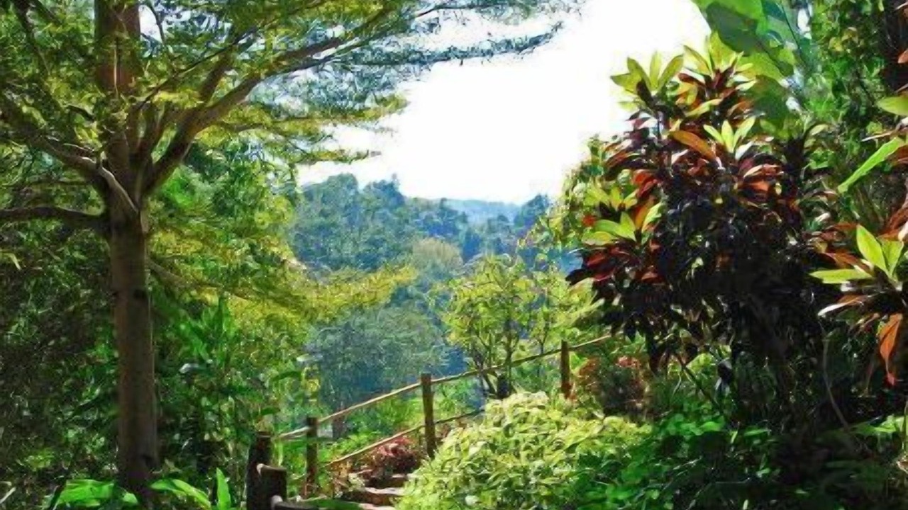 Photo of Outdoor in Hang Dong