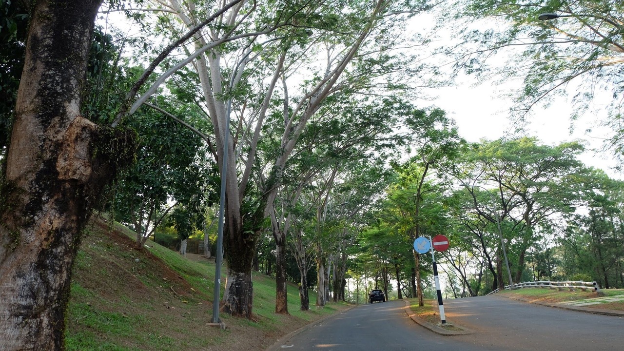 Photo of Outdoor in Serpong
