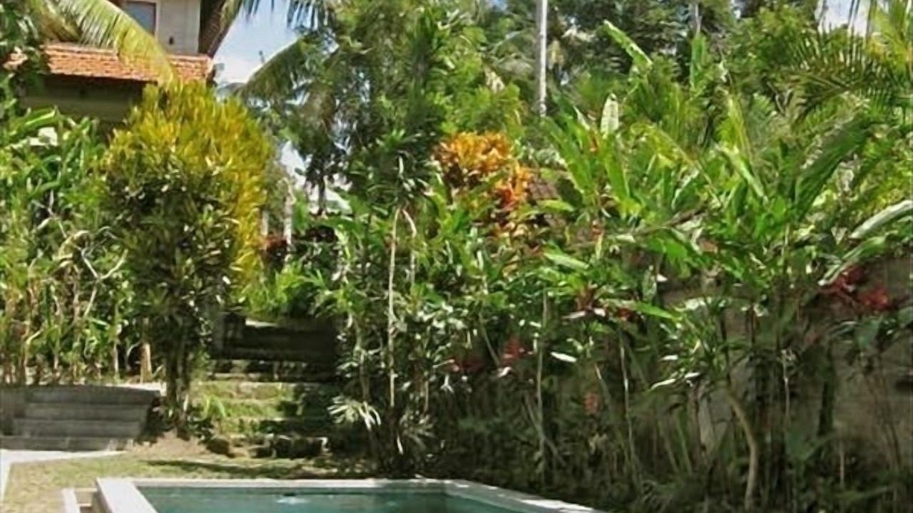 Photo of Others in Ubud City-Centre