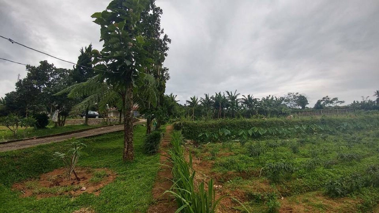 Photo of Outdoor in Ciloto