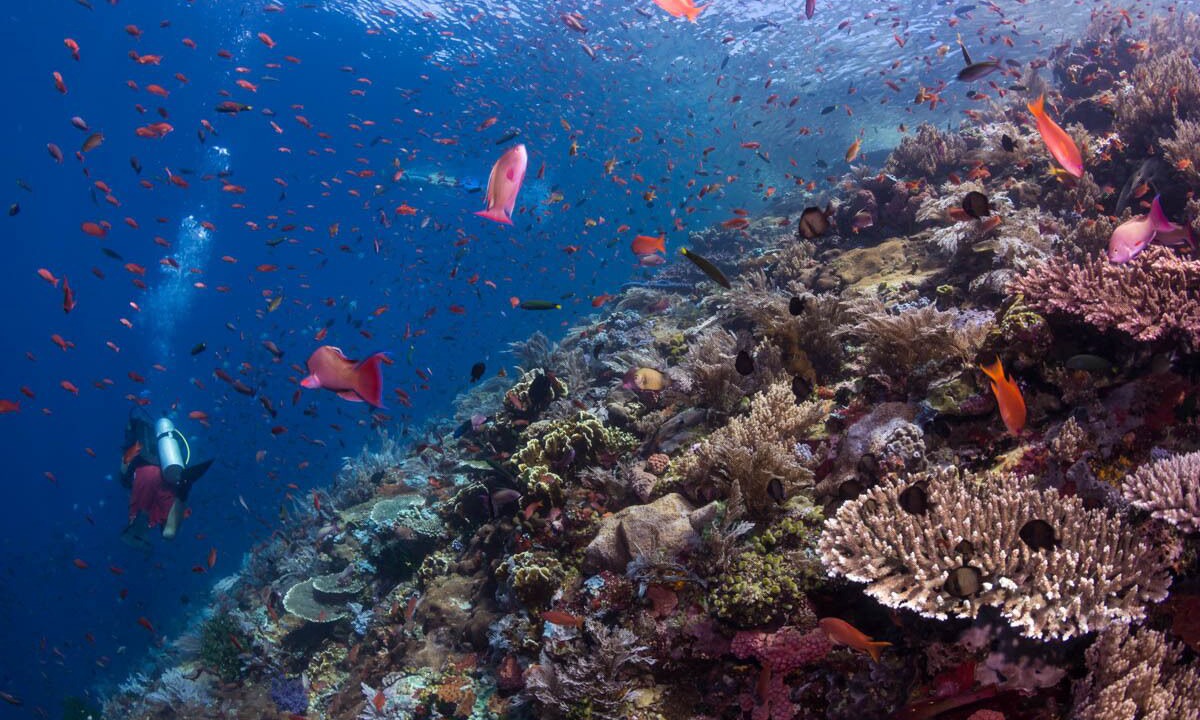 Photo of Outdoor in Labuan Bajo