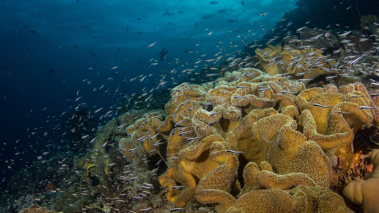 Photo of Outdoor in Labuan Bajo