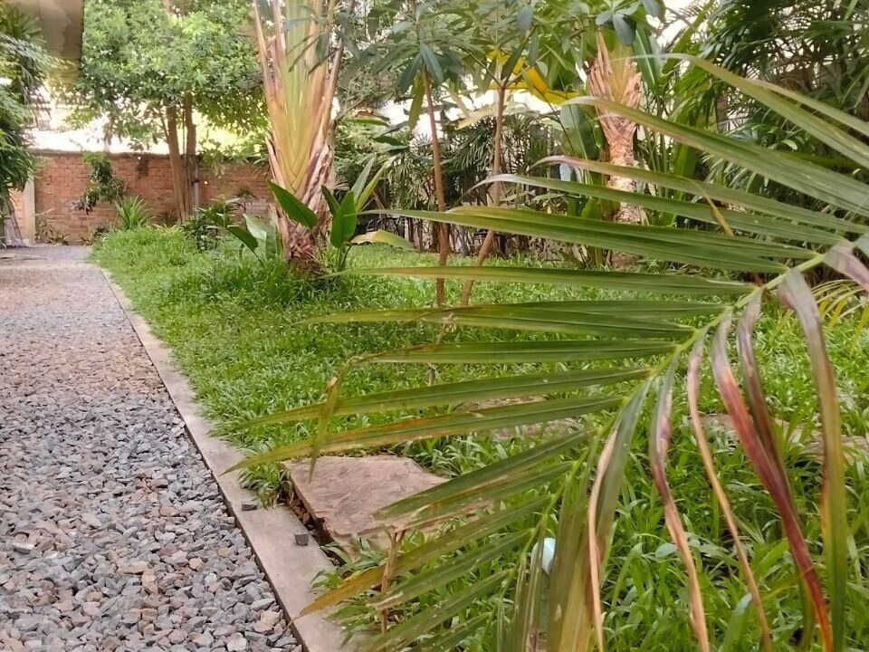 Photo of Others in Siem Reap
